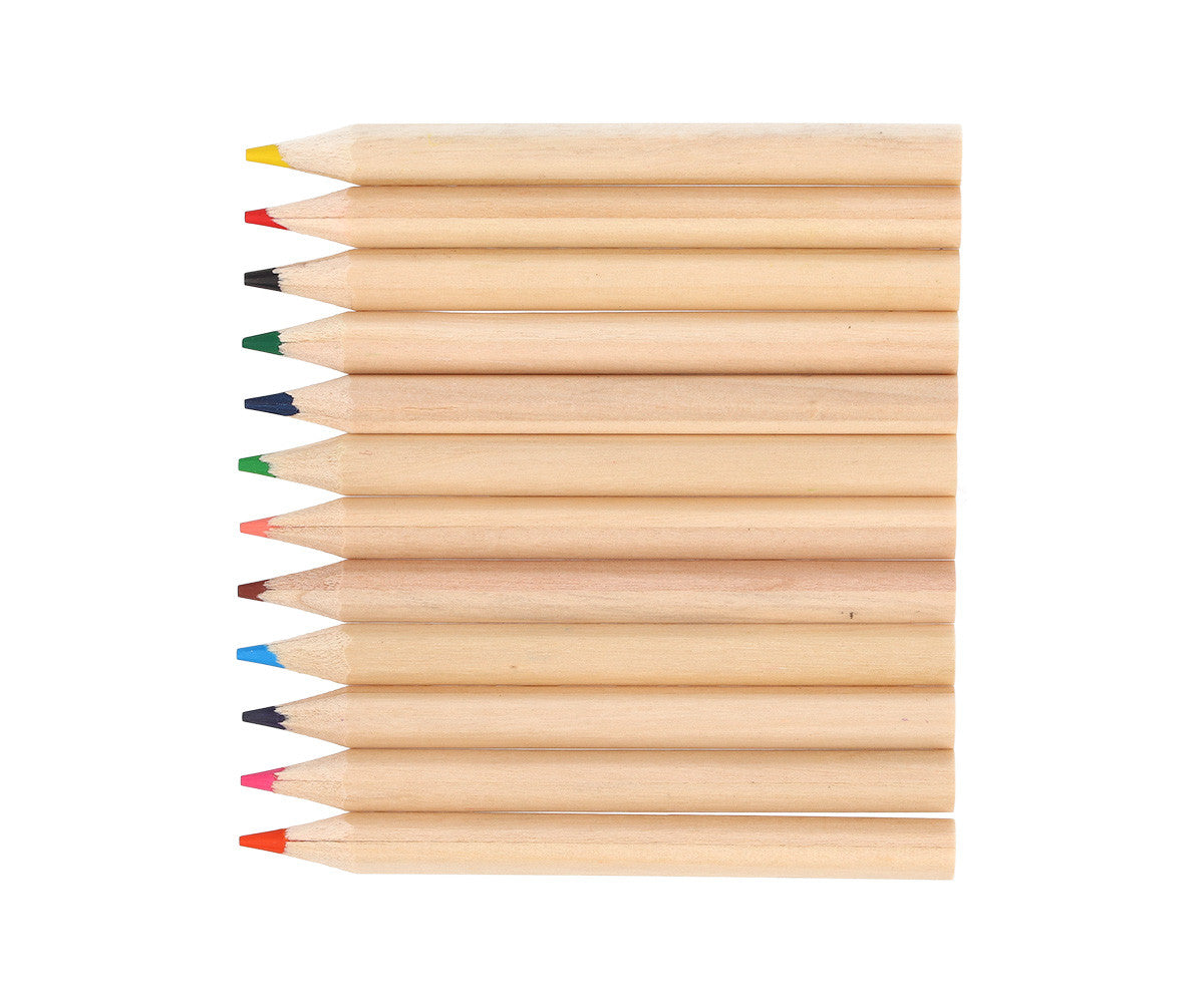 Tube de 12 Crayons de Couleur Blossom Birds