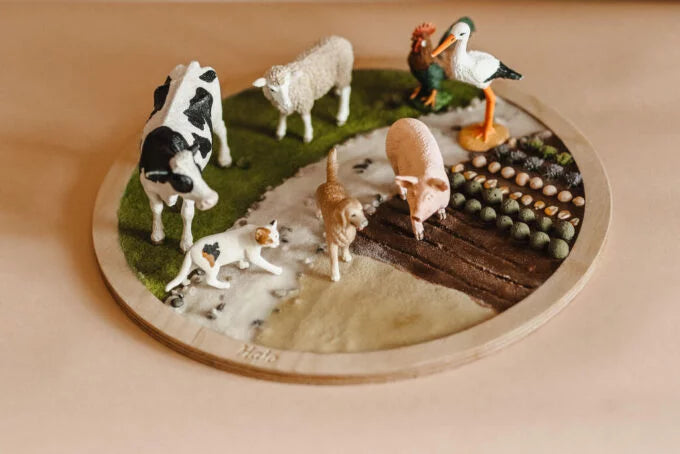 Maquette Sensorielle "Ferme"