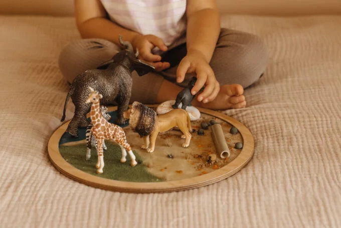 Maquette Sensorielle "Safari"