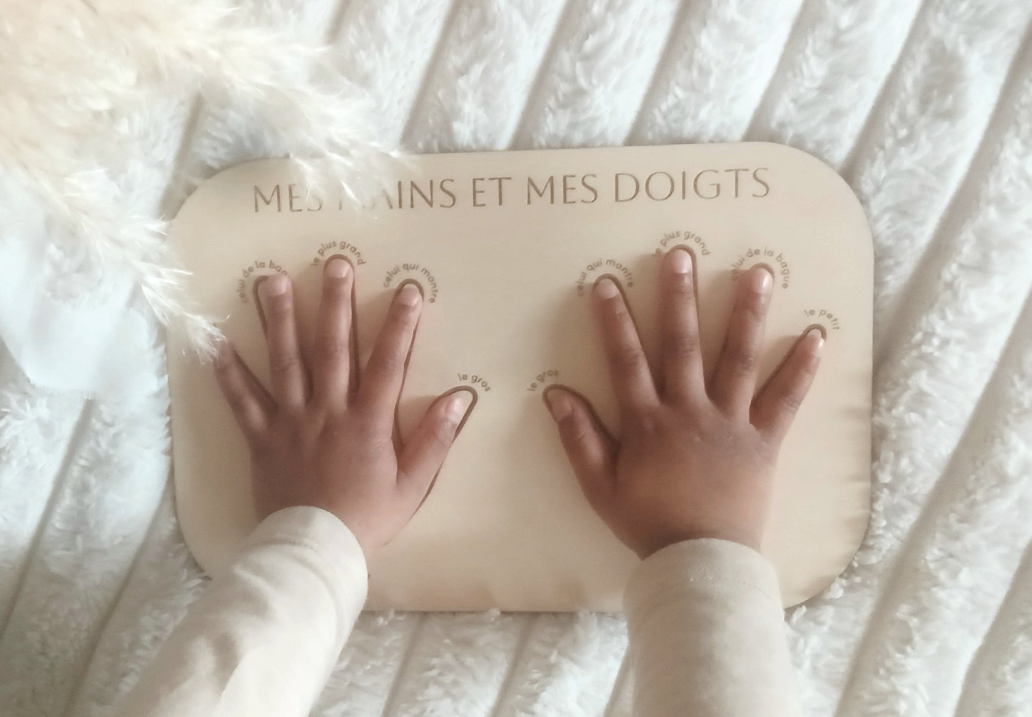 Mes mains et mes doigts