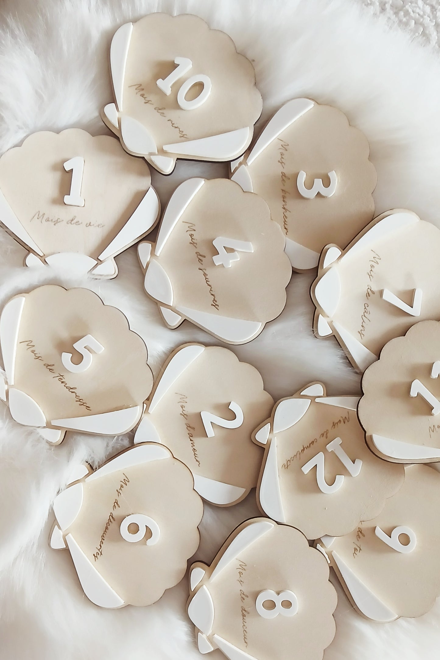 Cartes étapes Coquillage | 1 à 12 mois