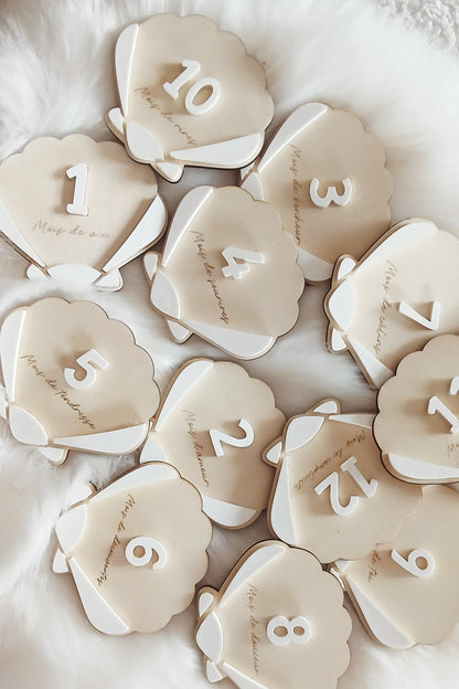 Cartes étapes Coquillage | 1 à 12 mois