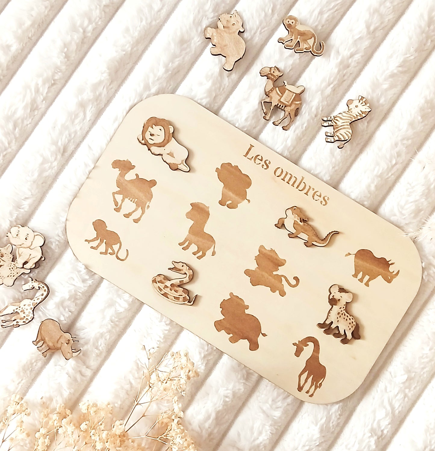 Support éducatif en bois | Les ombres