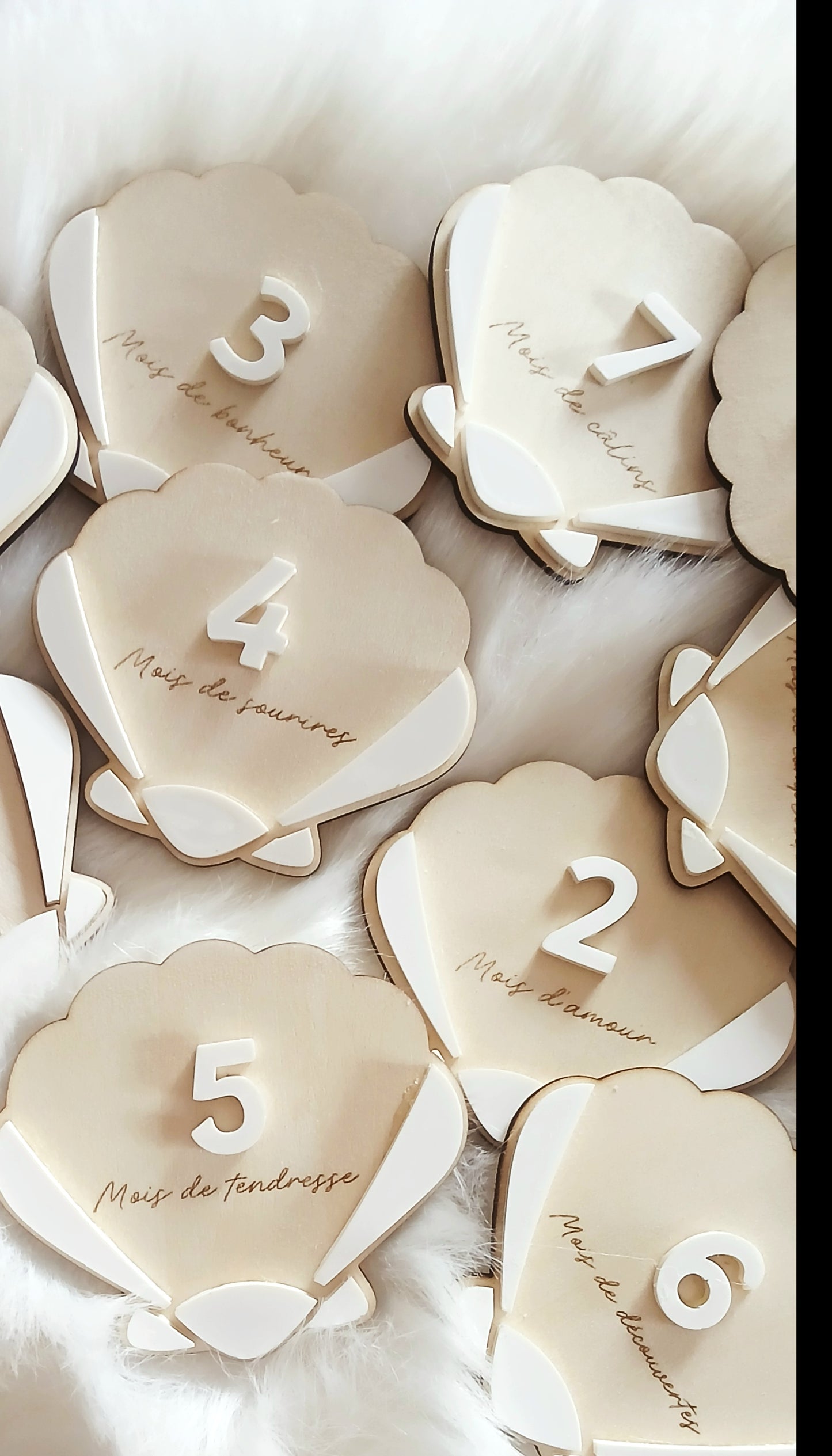 Cartes étapes Coquillage | 1 à 12 mois