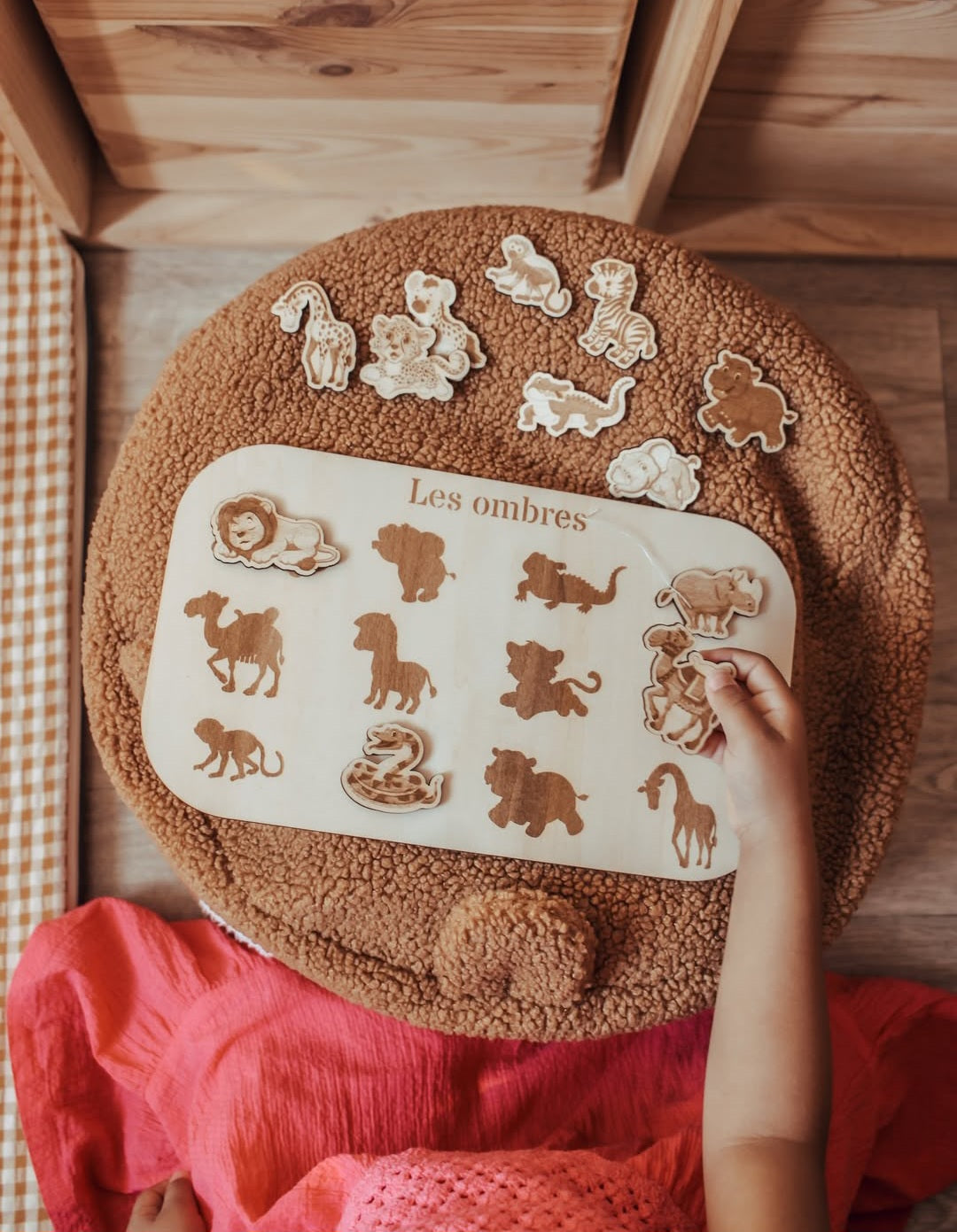 Support éducatif en bois | Les ombres