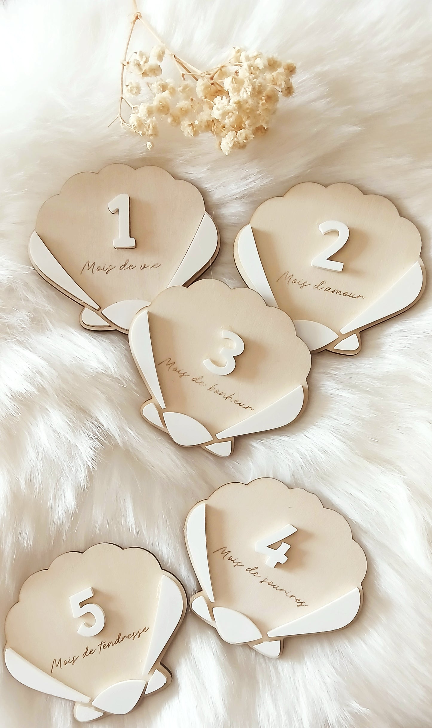 Cartes étapes Coquillage | 1 à 12 mois