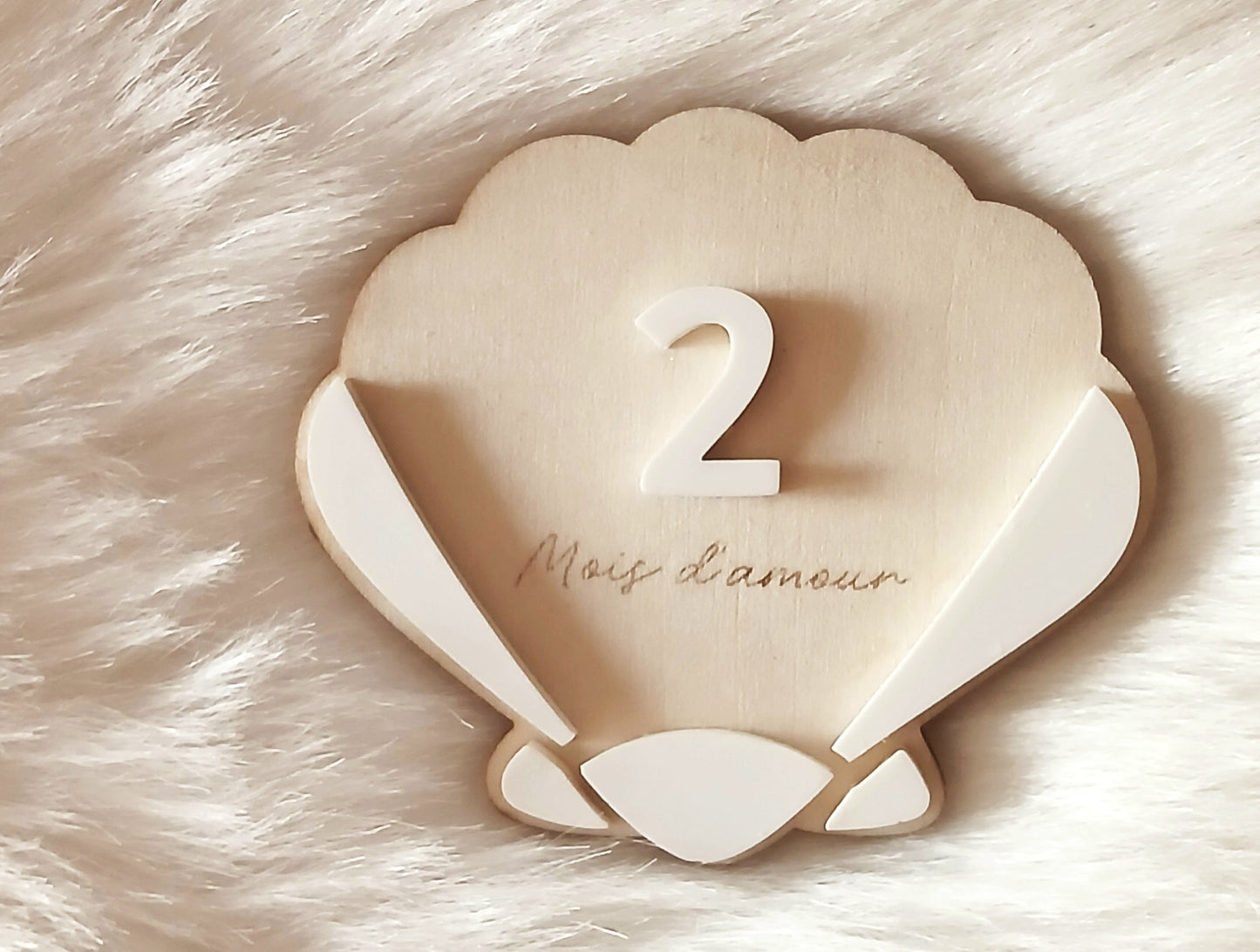 Cartes étapes Coquillage | 1 à 12 mois