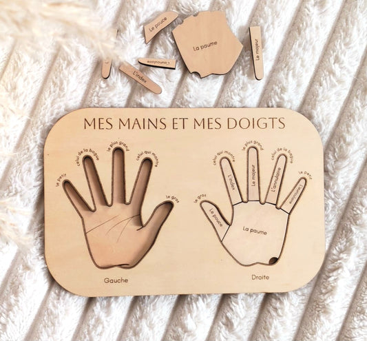 Mes mains et mes doigts