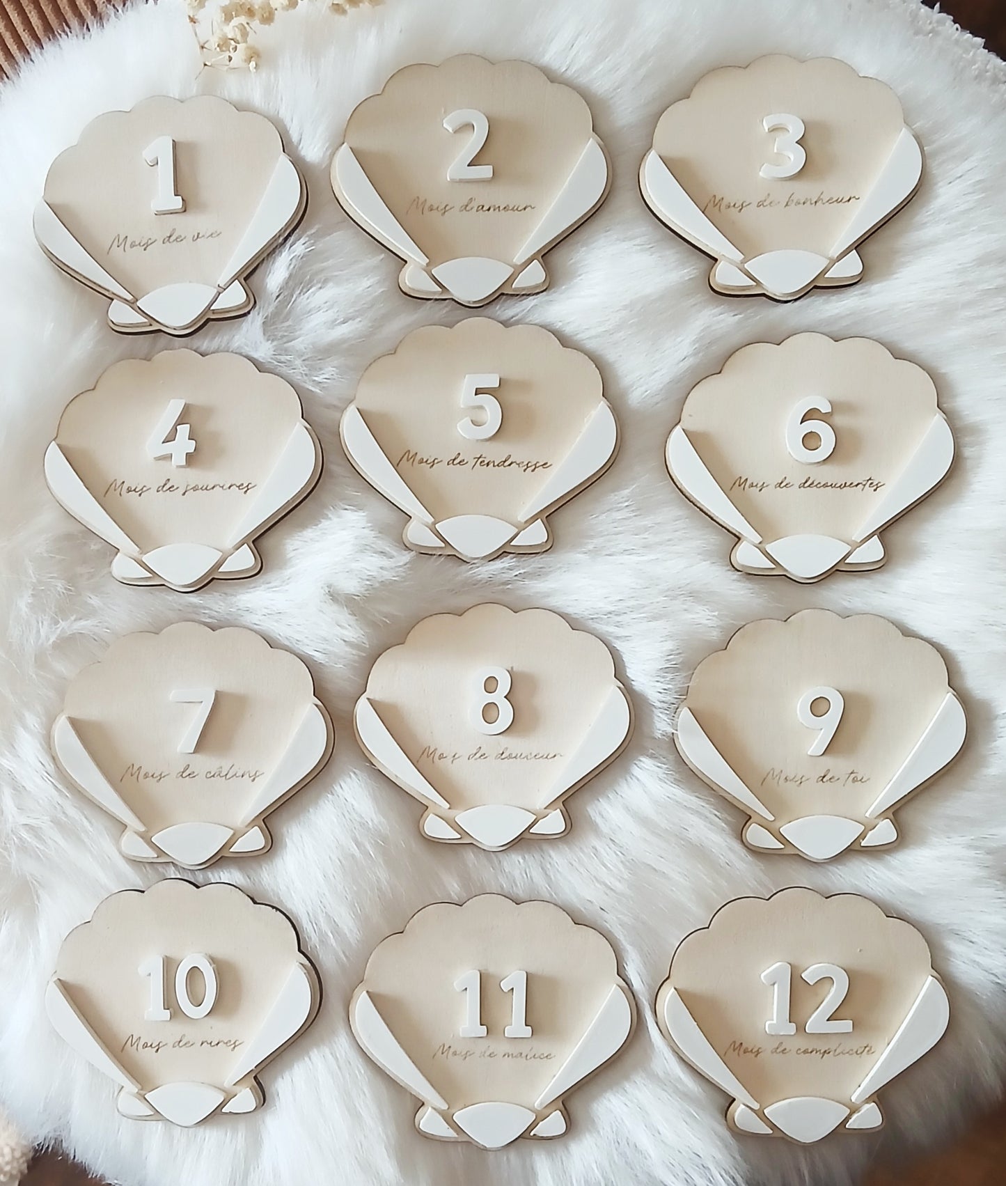 Cartes étapes Coquillage | 1 à 12 mois