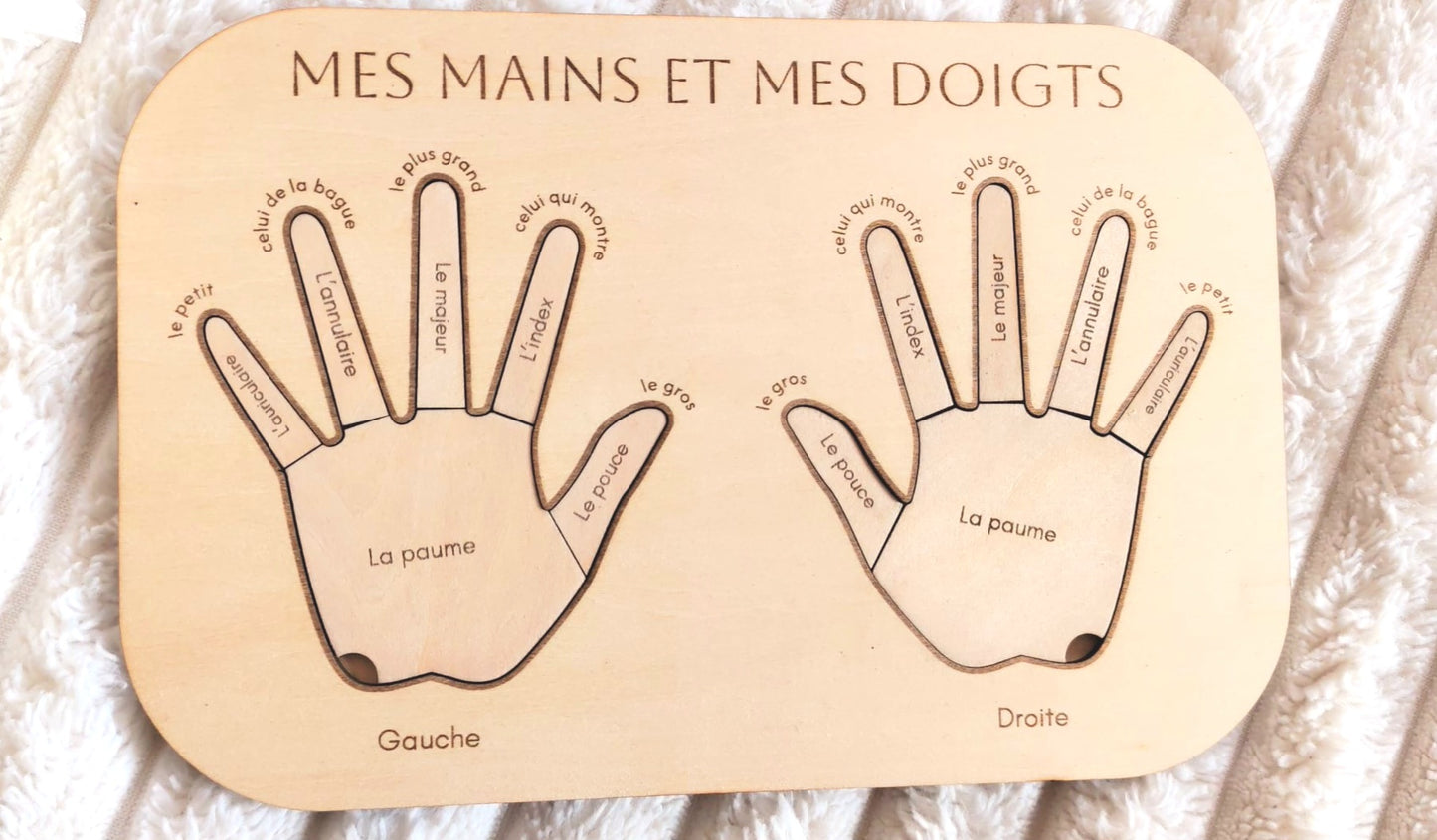 Mes mains et mes doigts